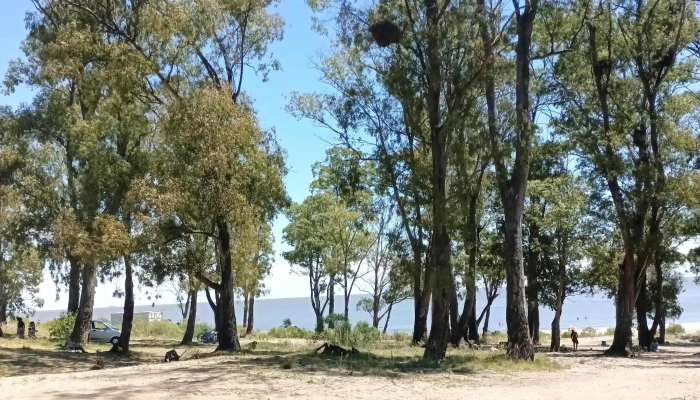 Playa Zabala:  Comentario 6 - Atracción turística