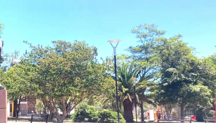 Plaza Artigas:  Comentario 1 - Parque