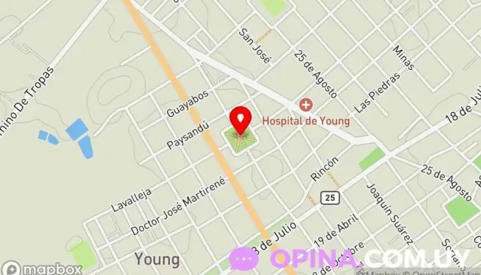 mapa de Plaza Artigas Escuela en Young