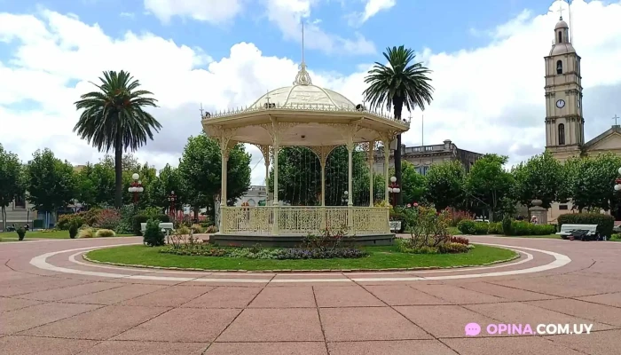 Plaza Constitucion Videos - Parque