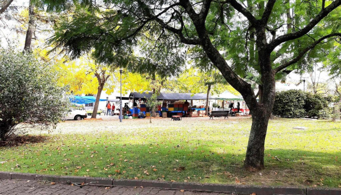 Plaza de Los Cerrillos - Los Cerrillos