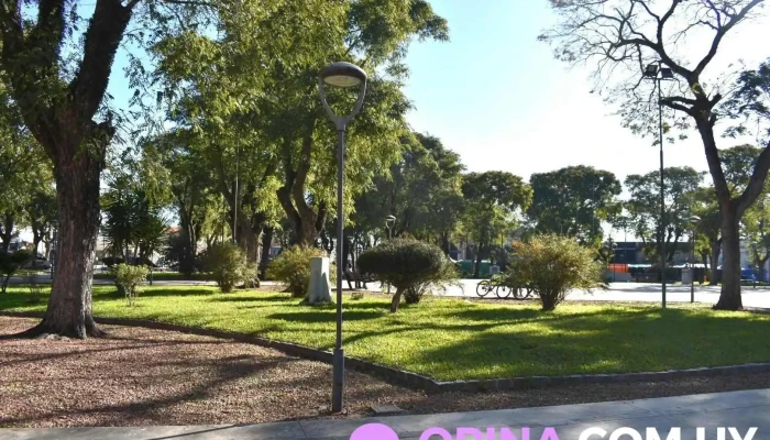 Plaza Doctor Enamorado - Sarandí Del Yí