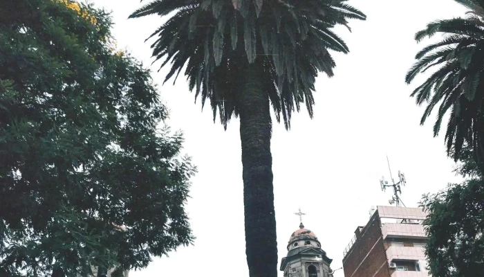 Plaza Independencia:  Comentario 2 - Parque