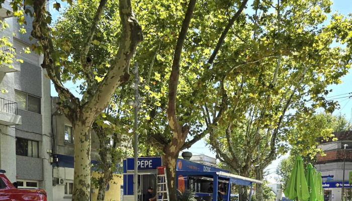 Plaza Independencia -  Precios - Durazno