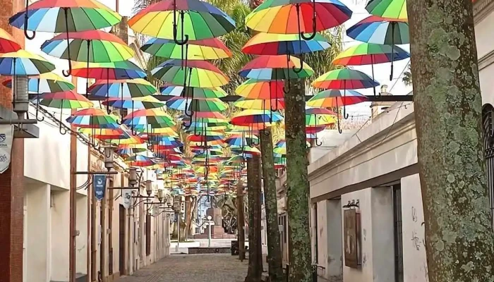 Plaza Rocha:  Recientes