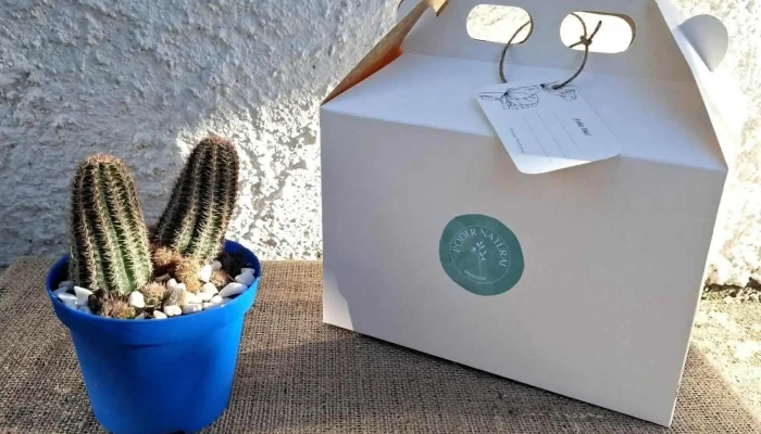 Poder Natural - 91400 Tala