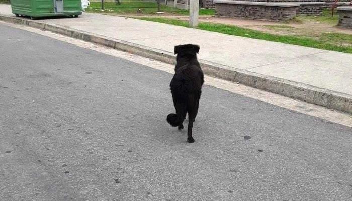 Policlinica 6 De Diciembre - Montevideo