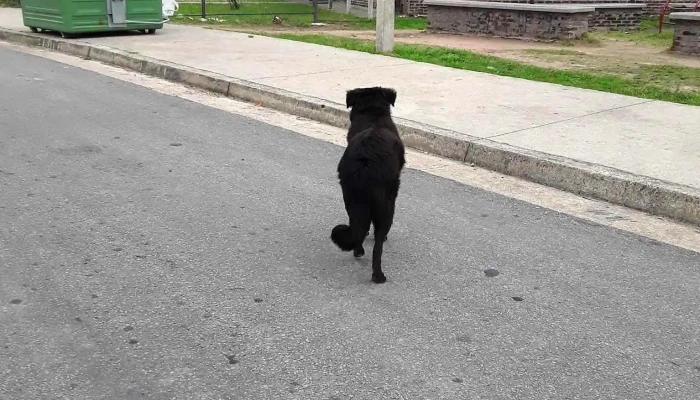 Policlinica 6 De Diciembre -  Opiniones - Montevideo