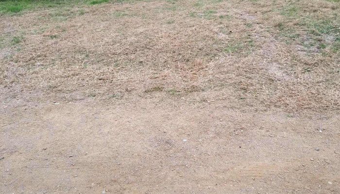 Policlínica San Luis - 15400 San Luis