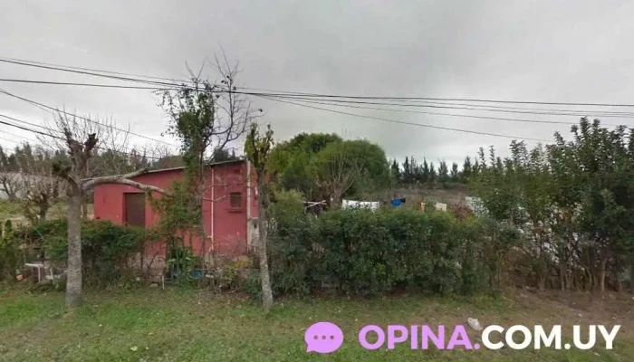 Policlínica Uba 6 - 50000 Salto