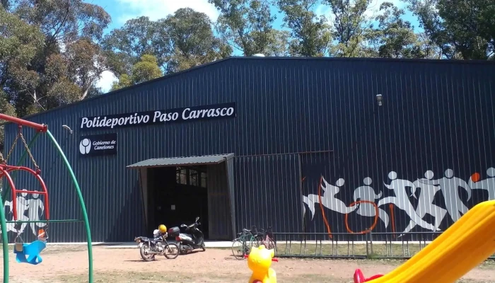 Polideportivo Paso Carrasco:  Comentario 1 - Gimnasio