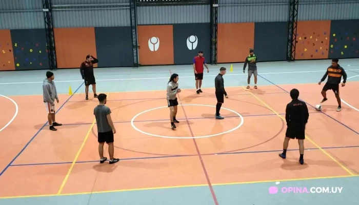 Polideportivo Paso Carrasco:  Videos - Gimnasio