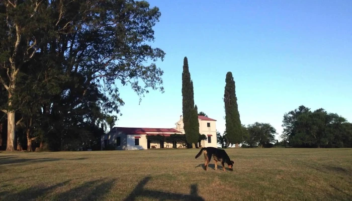 Posada Casona De La Paz:  Exterior - Bed & Breakfast