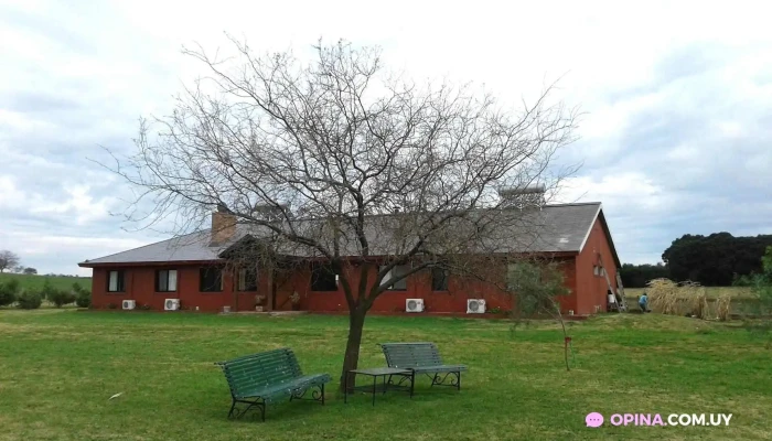 Posada De Campo Los Azahares:  Todo