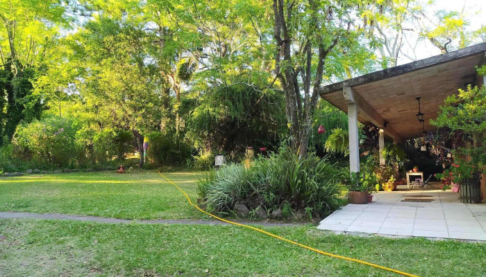 Posada Del Bosque:  De Los Visitantes - Hotel