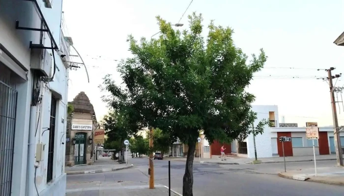 Posada del Cabo - Nueva Palmira