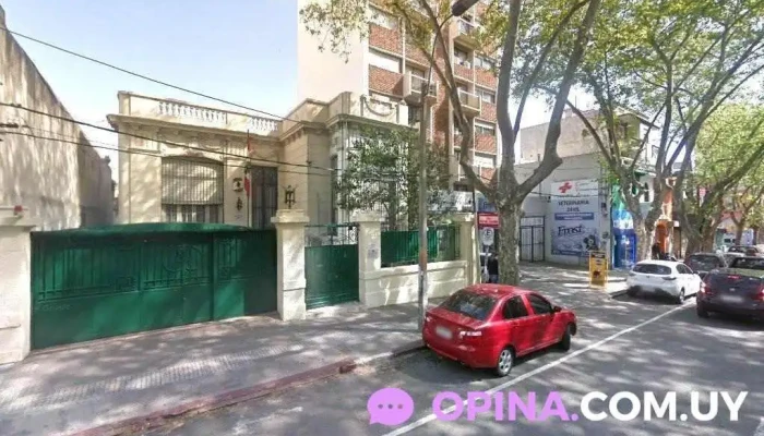 Primera Infancia - Colegio Santo Domingo - Montevideo