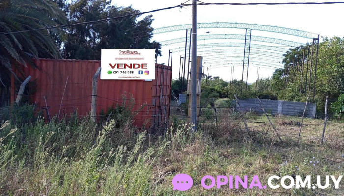 Procasauy Paisaje - Montevideo