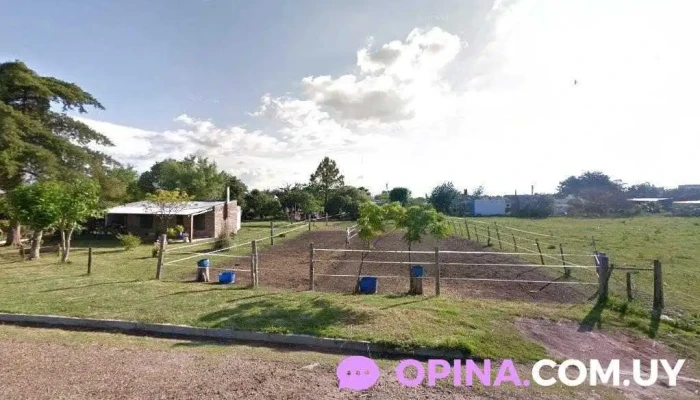 Productos Único - Departamento De Río Negro