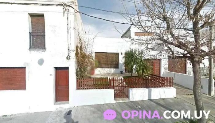 ProEnglish Cecilia's Academy - Florida