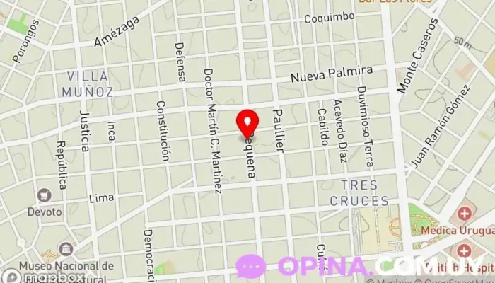 mapa de Profesora de Guitarra Profesor de guitarra en Montevideo