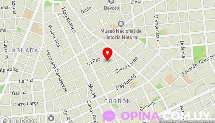 mapa de Profit Academy  en Montevideo