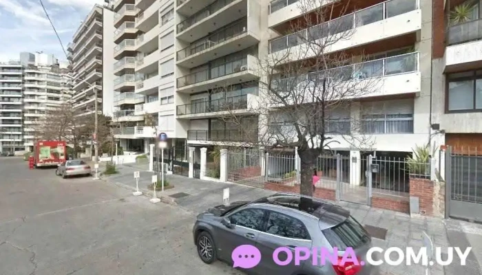 Psicologa Agustina Pirez - Montevideo