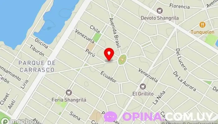 mapa de Psicologa Bettina (JP) Psicólogo en Ciudad de la Costa