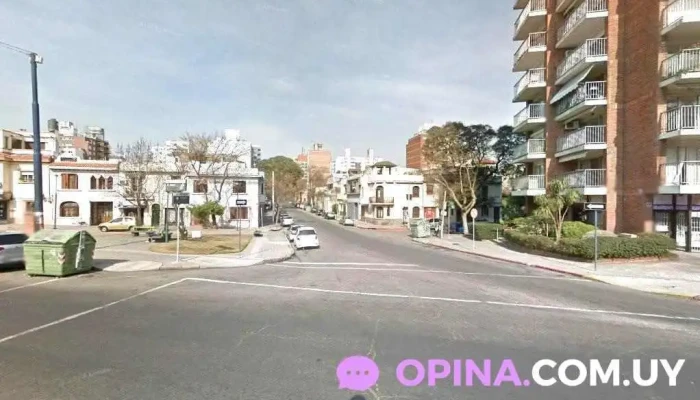 Psicóloga Clínica Lic. Marcela Castro - Montevideo
