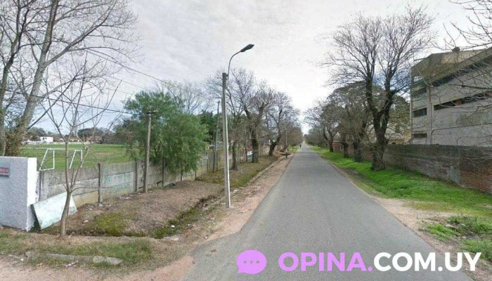 Psicologa de niños, adolescentes y adultos. - Montevideo