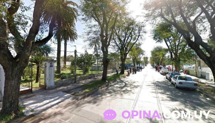 Psicoterapia, Orientación Vocacional, Dificultades de aprendizaje, tratamiento de estados depresivos y ansiosos. - Montevideo