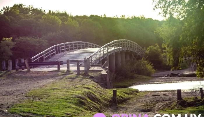 Puente Paso Real -  Zona - Rocha