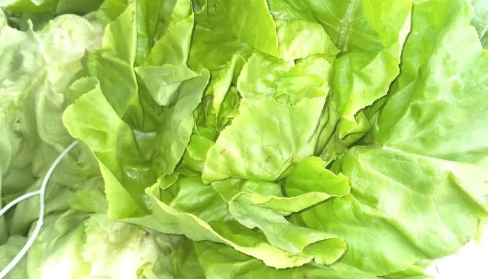 Puesto De Verduras Y Frutas Gustavo - 15200 Estación Atlántida