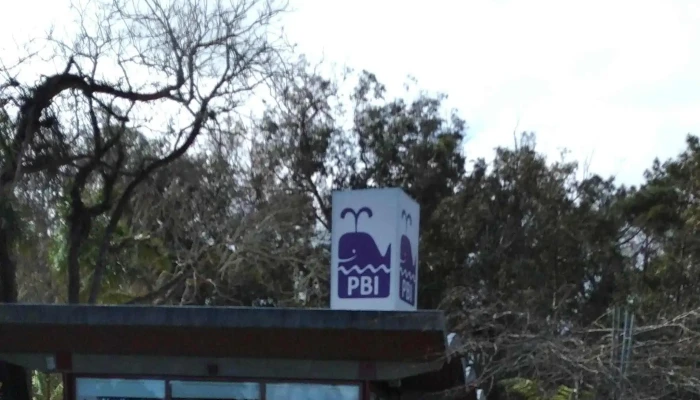 Punta Ballena Inmobiliaria -  Instagram - Maldonado