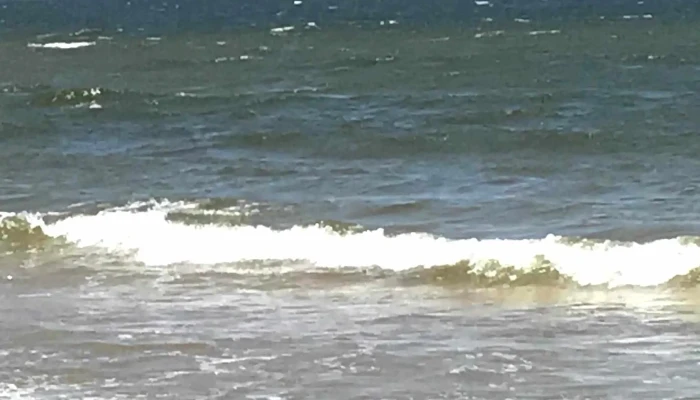 Punta Ballena Inmobiliaria -  Telefono - Maldonado