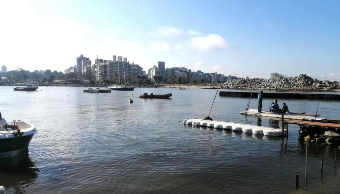 Punta Brava:  Puerto Deportivo De Punta Carretas - Parque