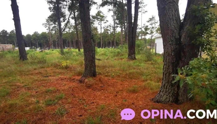 Punta Del Este Driving School -  Comentarios - Punta del Este