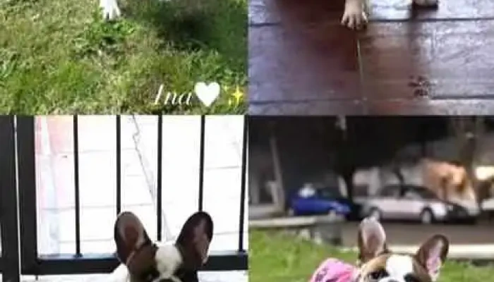 Punta del este m - 20000 Maldonado