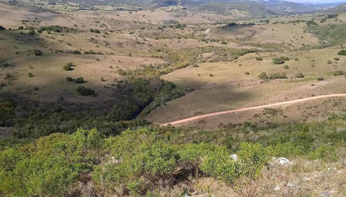 Puntas De Pan De Azucar:  De Los Visitantes