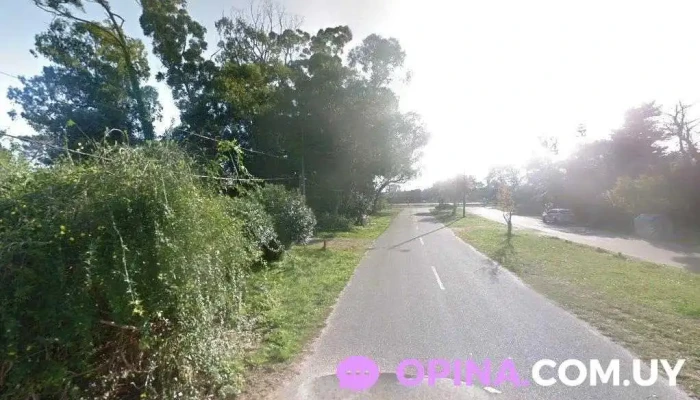 Puntauy Inmobiliaria - Punta Del Este