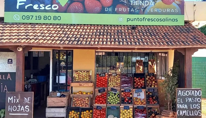 Punto Fresco Salinas - Pitanga