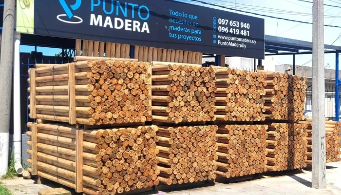 Punto Madera - Montevideo