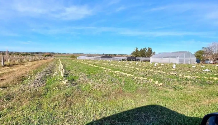 Punto Verde - Unnamed Road