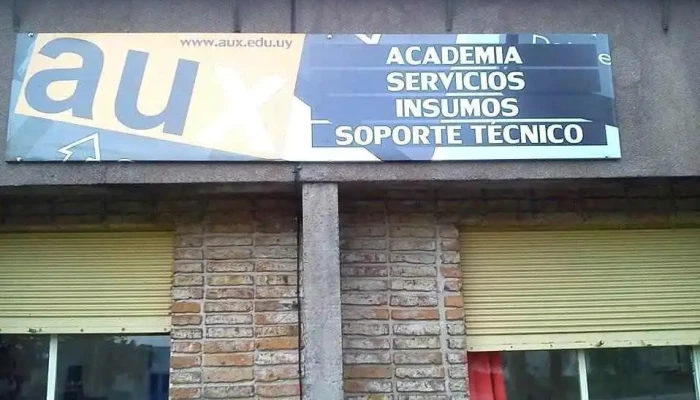 Puntoaux Informatica Direccion - Juan L. Lacaze