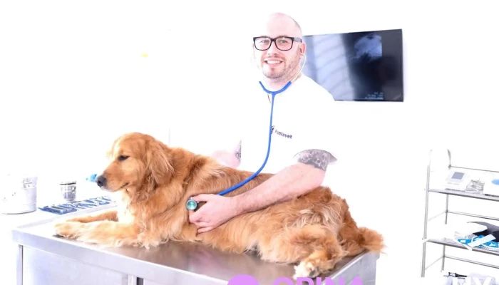 PuntoVet 4 - 11300 Montevideo