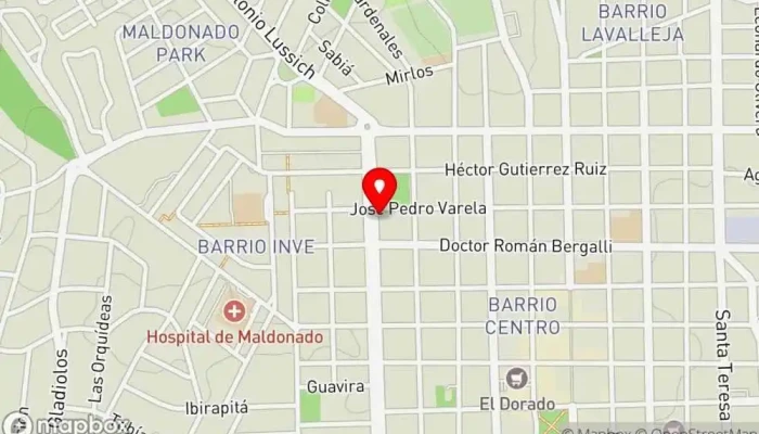 mapa de Que Rico Pan, restaurant, almuerzo, Panadería Artesanal Panadería, Restaurante de brunch, Tienda de juegos, Tienda naturista, Comida a domicilio, Restaurante mexicano, Tienda de ensaladas, Restaurante uruguayo, Restaurante vegetariano en Maldonado