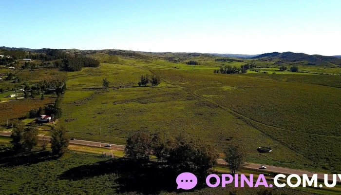 Raices Del Propietario - Minas