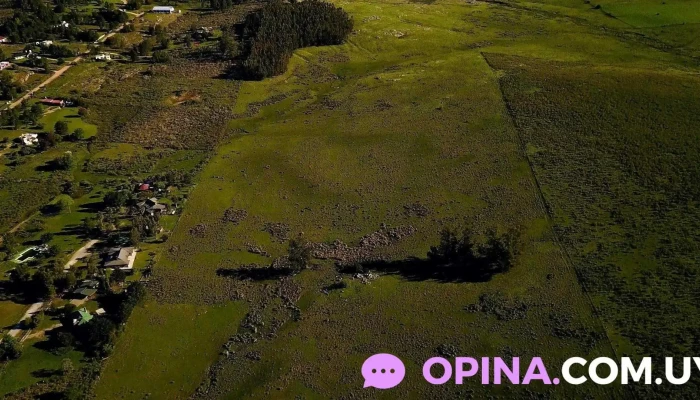 Raices Ubicacion - Minas