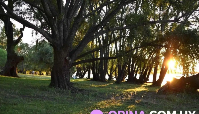 Rambla De Nuevo Berlin, Rio Negro - 18 De Julio