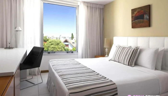 Real Colonia Hotel Suites Habitaciones - Hotel